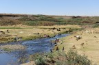 Etiopia