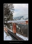 Nella Morsa del Gelo