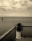 Aspettando il mare