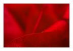 Particolare rosso