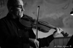 viola 3648