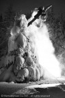 SNW | Nightree