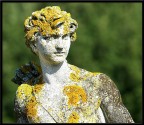 Statua