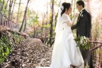 wedding fantasy