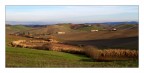 campagne del Pisano
