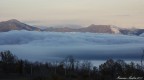 The-fog