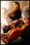 i violinisti