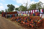Colori dell'Africa