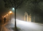 Nella Nebbia