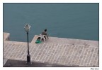Comincia La Pesca