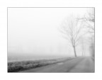foschie invernali