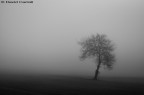 B/W.