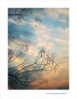 A piece... of sky