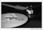 Vinile