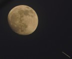 Stasera, guardato la luna