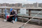 new york 03 - coney island 2009
