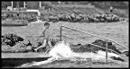 Palla di mare