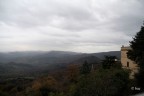 Tolfa