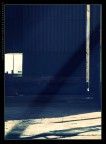 The ray