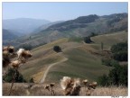 Sentiero in mezzo ai Calanchi !!!!