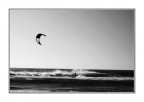 Kite Surf