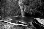 Rio Buti