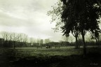 Paesaggio Urbano