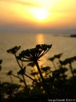 FinePIX S5600