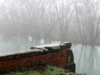 La Livenza a Portobuffole' (Tv)