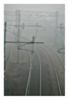 curve fosche