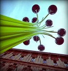 toy camera in milan