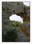 Quanti di voi,visitando la Sardegna,hanno notato la bellezza dei muschi e dei licheni,che macchiano,l'antiche rocce...