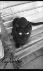 Scansione da negativo di un rullino Ilford HP4, scattata coo una zenit 122 con obiettivo Chinon grandangolare 24.