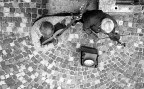 La Musica Di Tutti I Giorni