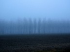 Verso sera