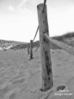 Linee di demarcazione.... zone naturalistiche... tutto questo ..... l'isola di Menorca