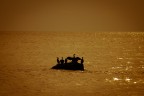 Un calda luce in un freddo mare d'inverno. Alcuni cormorani provano ad asciugarsi al sole utilizzando della roccia emersa