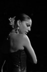 flamenco 3