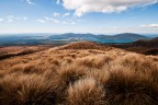 Al termine del tongariro alpin cross in nuova zelanda si arriva in questo altopiano disseminato di questi cespugli rossi mossi dal vento.
Come sempre S&C ben accetti.