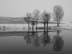 il riflesso