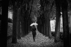 Passeggiando nell'autunno