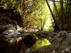 L'ho voluta intitolare il tesoro, dal nome di quella sperduta valle nelle montagne del Gennargentu in Sardegna.Nel dialetto del luogo si dice s'iscusorgiu, tesoro appunto, perch la credenza popolare attribuisce a quella valle la custodia di un mitico tesoro verso il quale, nella foto, sembra che io mi avvicini