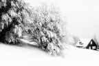 inbianco