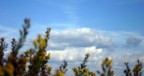 cielo d'autunno