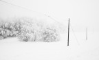 inbianco2