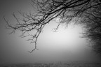 neve e nebbia 4