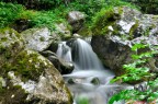 tra le rocce