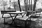neve