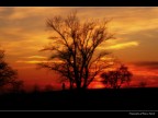 Tramonto al Parco Nord