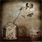 :: S.T. ...